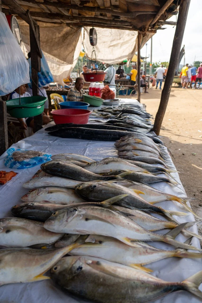 Pescado fresco a la venta en el Mercado de Bazurto en Cartagena